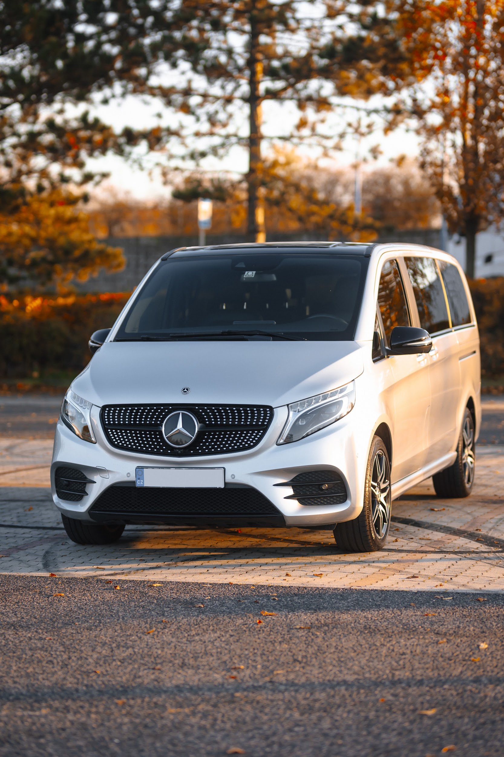 Mercedes-Benz V-Class